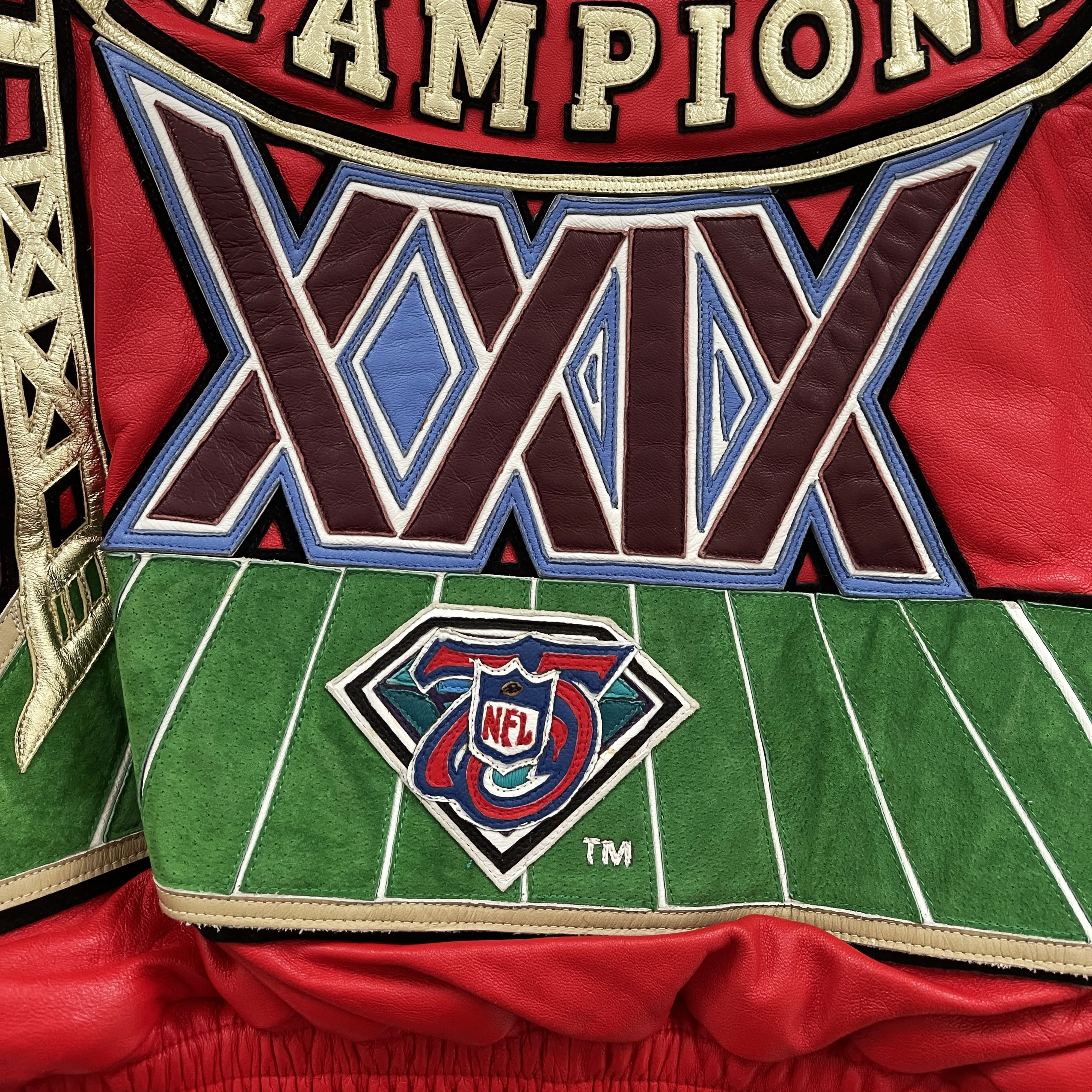 Jeff Hamilton NFL 49ers XXIX Super Bowl Champions 1995 Leather Jacket - L