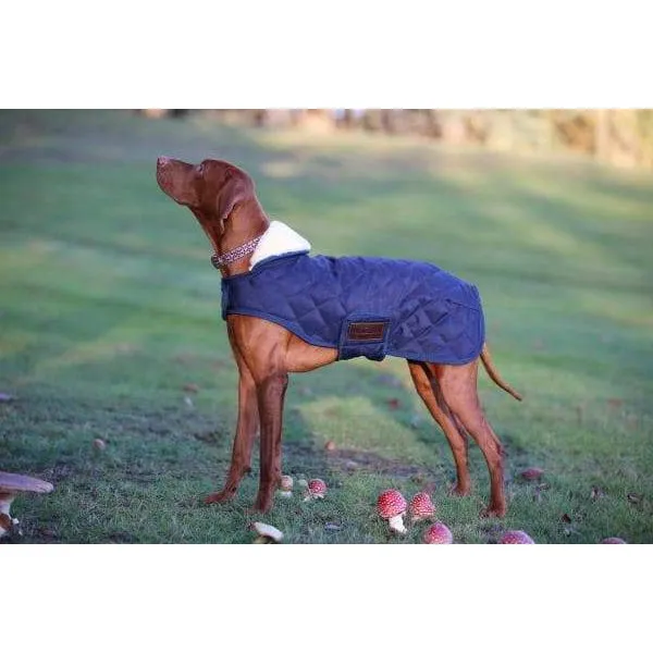 Kentucky Dog Coats