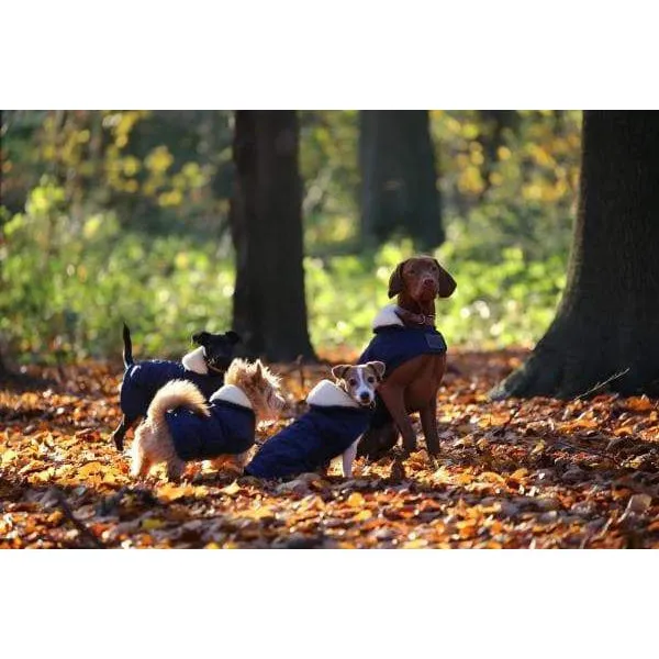 Kentucky Dog Coats