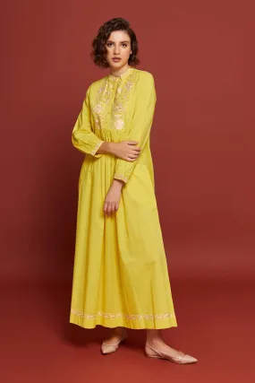 Zardi Paridaiza Kaftan